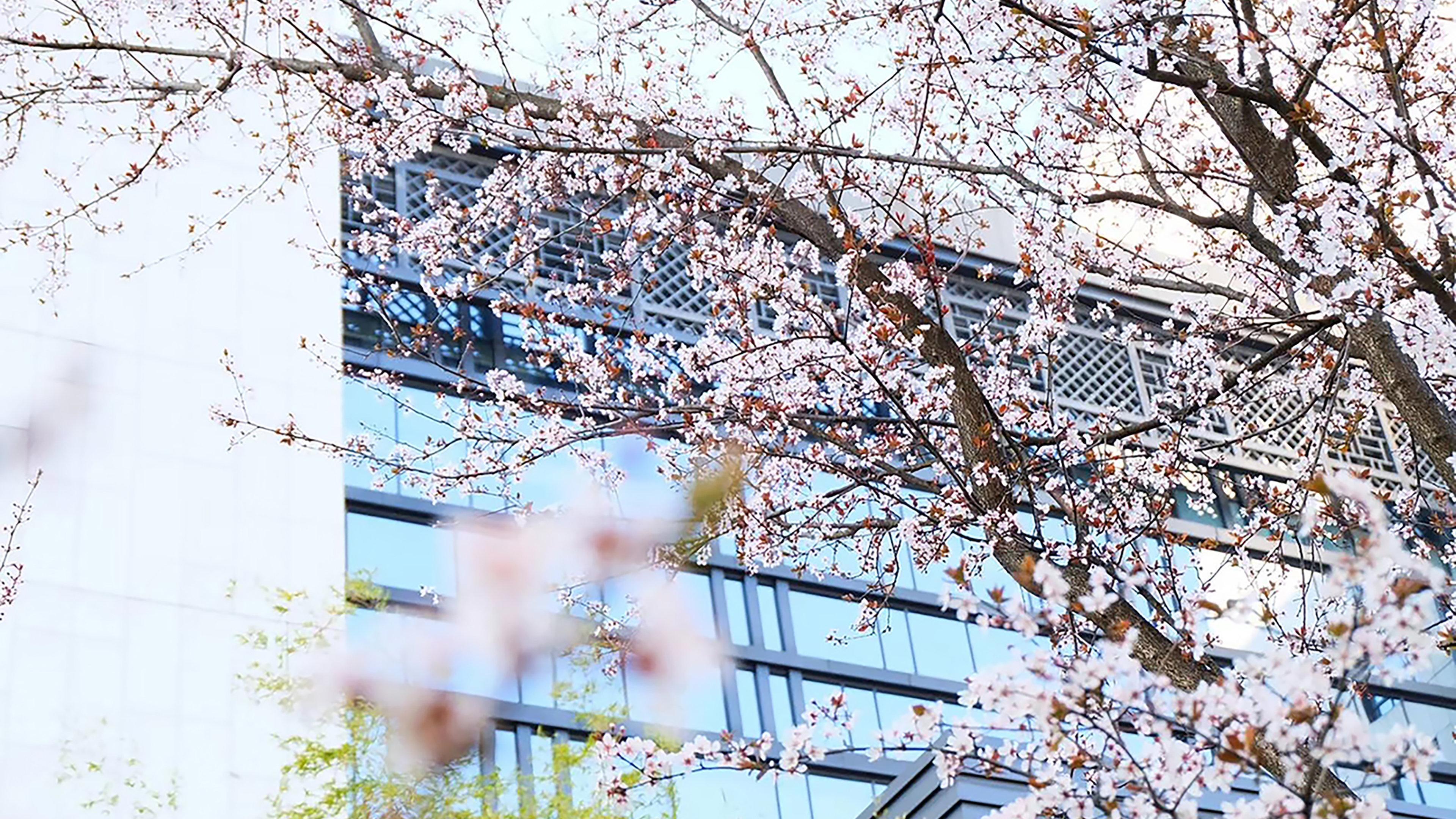 Crowne Plaza Huangshan Yucheng By Ihg Dış mekan fotoğraf